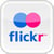 flickr icon 